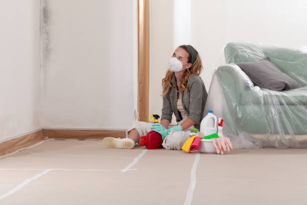 Reliable Mold Removal contractor in Newberg, OR by Car Mold Remediation